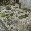 Zákoutí se sukulenty a kaktusy